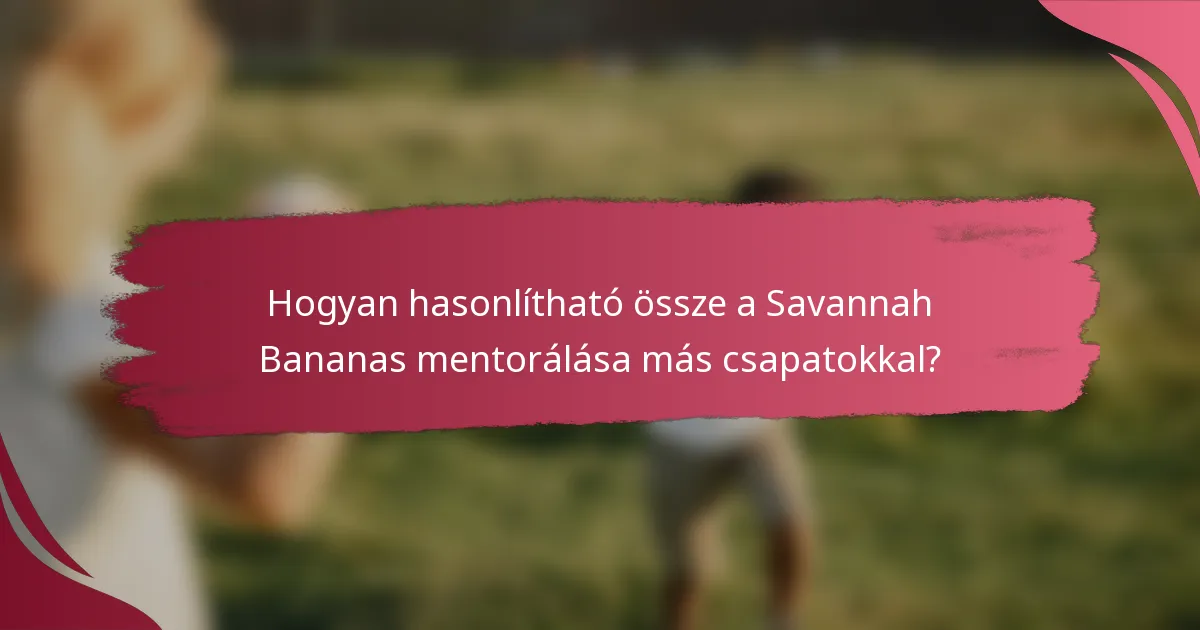 Hogyan hasonlítható össze a Savannah Bananas mentorálása más csapatokkal?