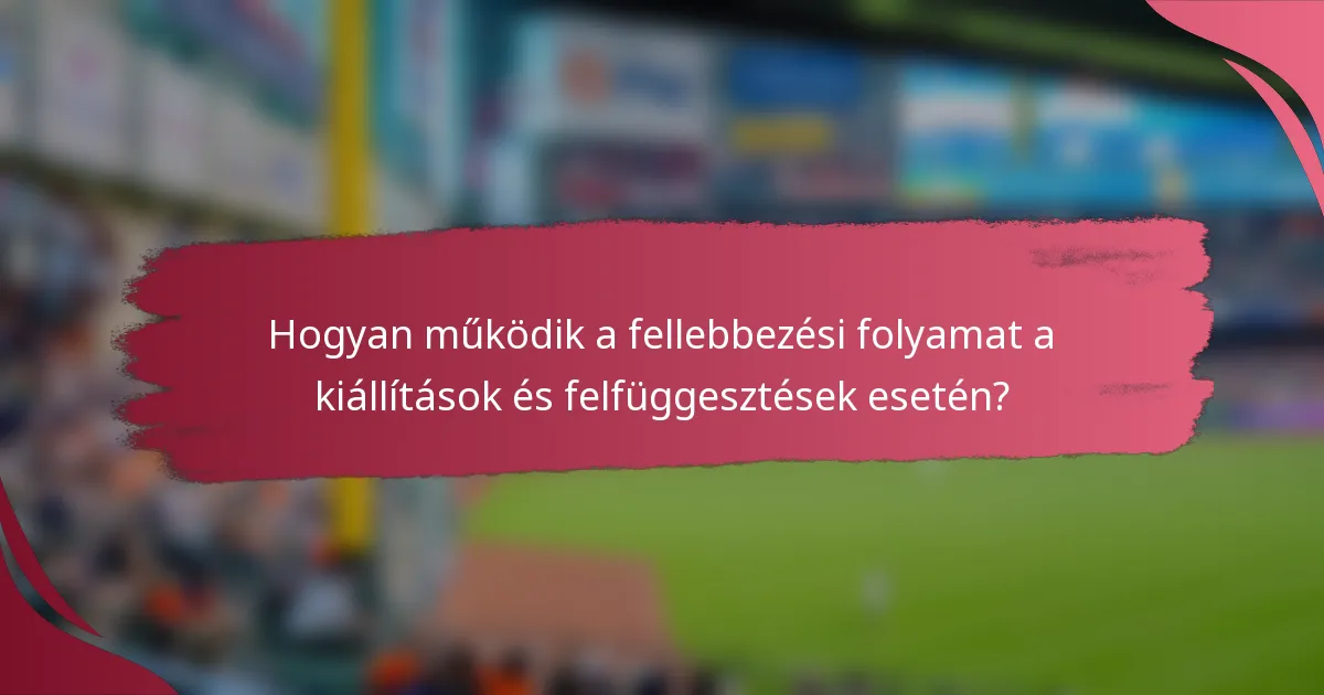 Hogyan működik a fellebbezési folyamat a kiállítások és felfüggesztések esetén?